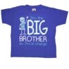 I'm The Big Brother Kids T-Shirt